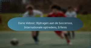 Dario Vidosic: Bijdragen aan de Socceroos, Internationale optredens, Erfenis